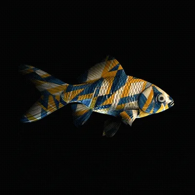 Cryptofish Io