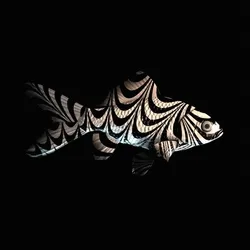 CryptoFish #1016
