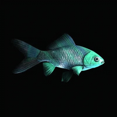 CryptoFish #3168