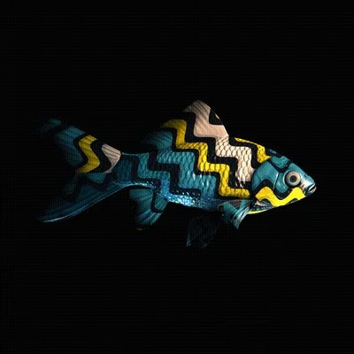 Cryptofish Io