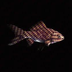 CryptoFish #335
