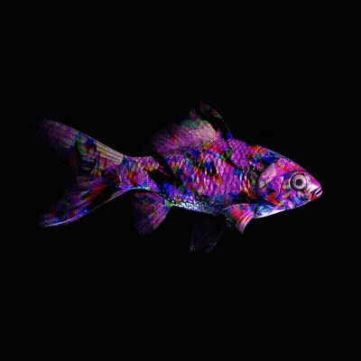 Cryptofish Io