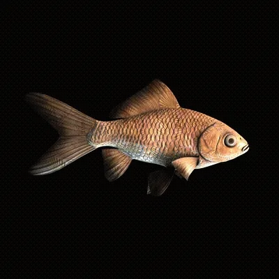CryptoFish #2877