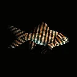 CryptoFish #1426