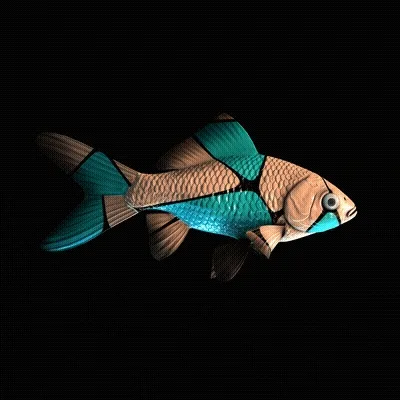 Cryptofish Io