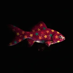 CryptoFish #1448
