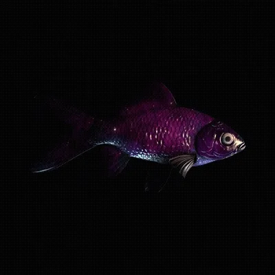 CryptoFish #3024