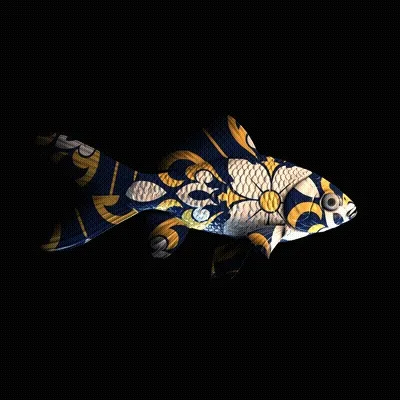 Cryptofish Io