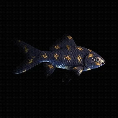 CryptoFish #2652