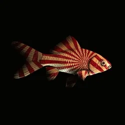 CryptoFish #6881