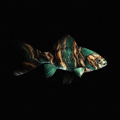 Cryptofish Io