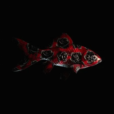 CryptoFish #2685