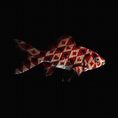 Cryptofish Io