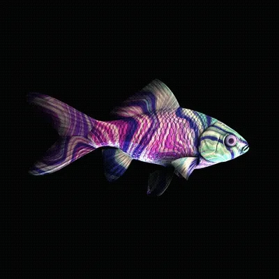 Cryptofish Io