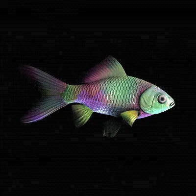 CryptoFish #3050