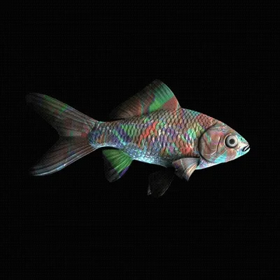 Cryptofish Io
