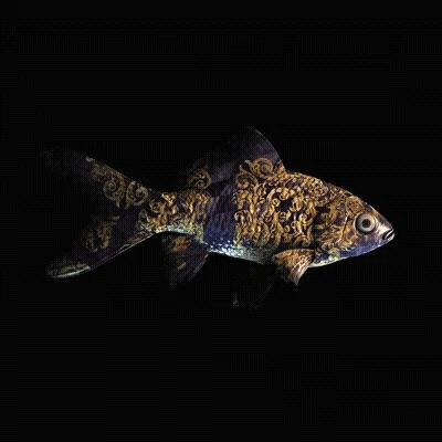 CryptoFish #3236