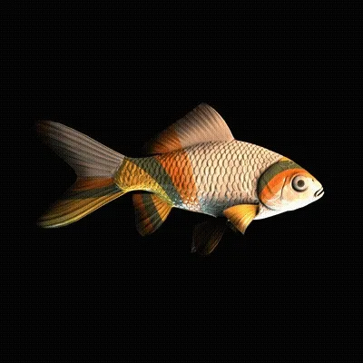Cryptofish Io
