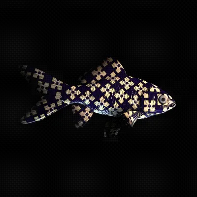 Cryptofish Io