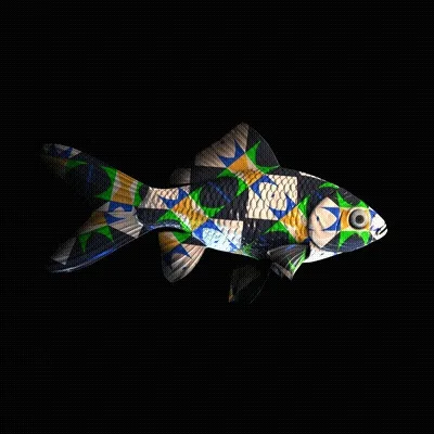 Cryptofish Io