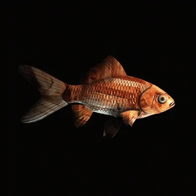 Cryptofish Io