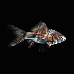 CryptoFish #5775