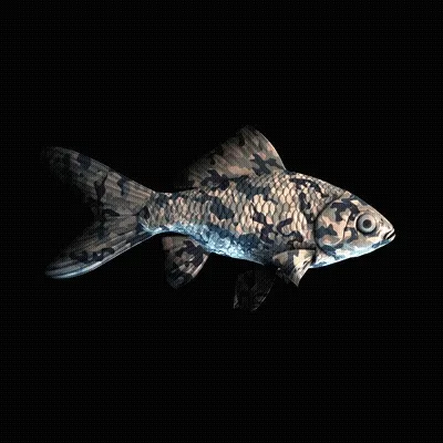 Cryptofish Io