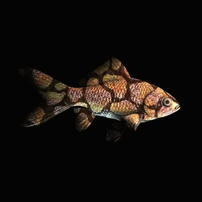 Cryptofish Io
