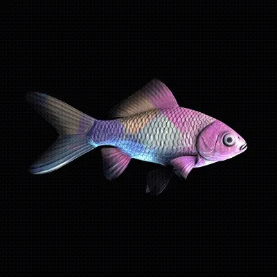 Cryptofish Io