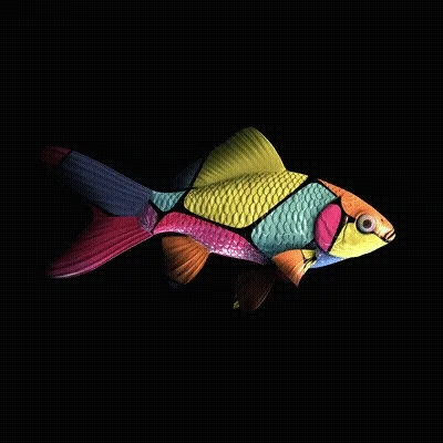 Cryptofish Io