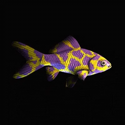 Cryptofish Io