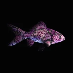 CryptoFish #4858