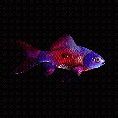 CryptoFish #4906