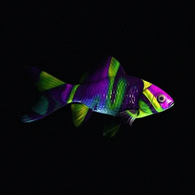 CryptoFish #30