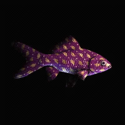 Cryptofish Io