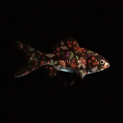 CryptoFish #1628