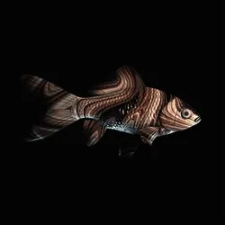 CryptoFish #2124