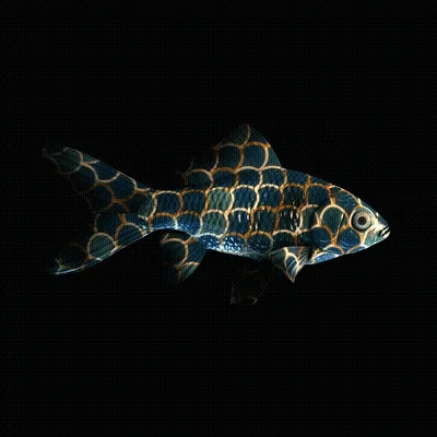 Cryptofish Io