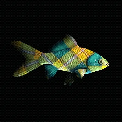 CryptoFish #3581
