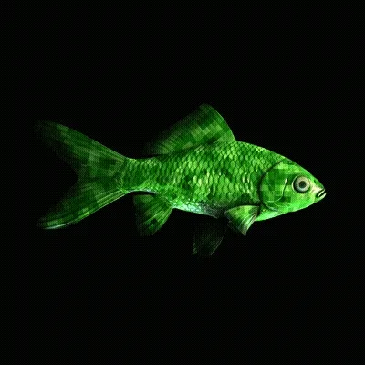 CryptoFish #2520