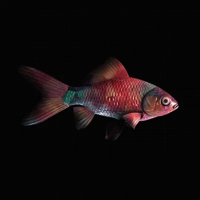 CryptoFish #4899