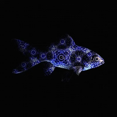 Cryptofish Io