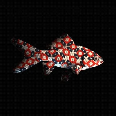 Cryptofish Io