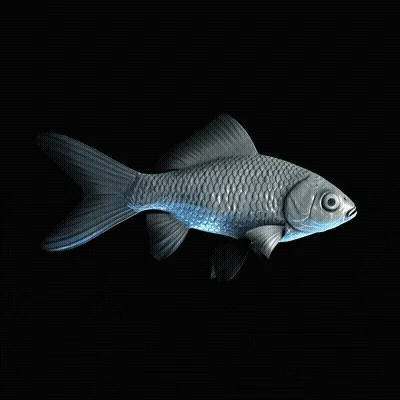 Cryptofish Io