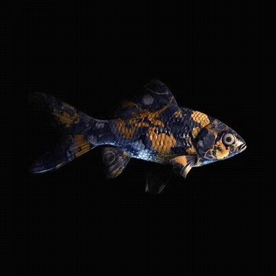 Cryptofish Io