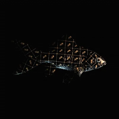 CryptoFish #2826