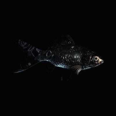 Cryptofish Io