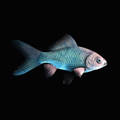 CryptoFish #2910