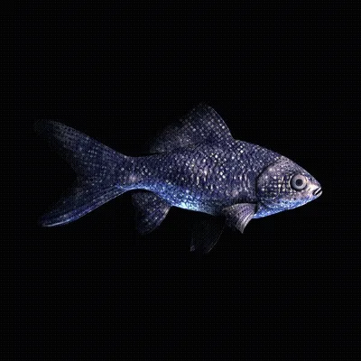Cryptofish Io