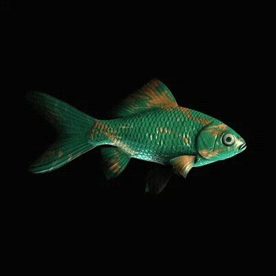 Cryptofish Io